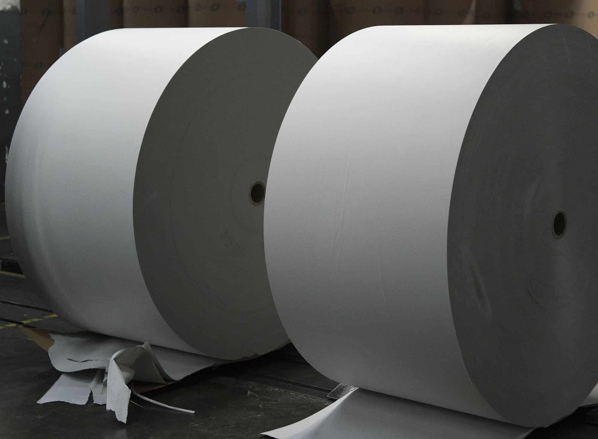 Paper Made From Stone Tempts Japans Biggest Printer to Invest